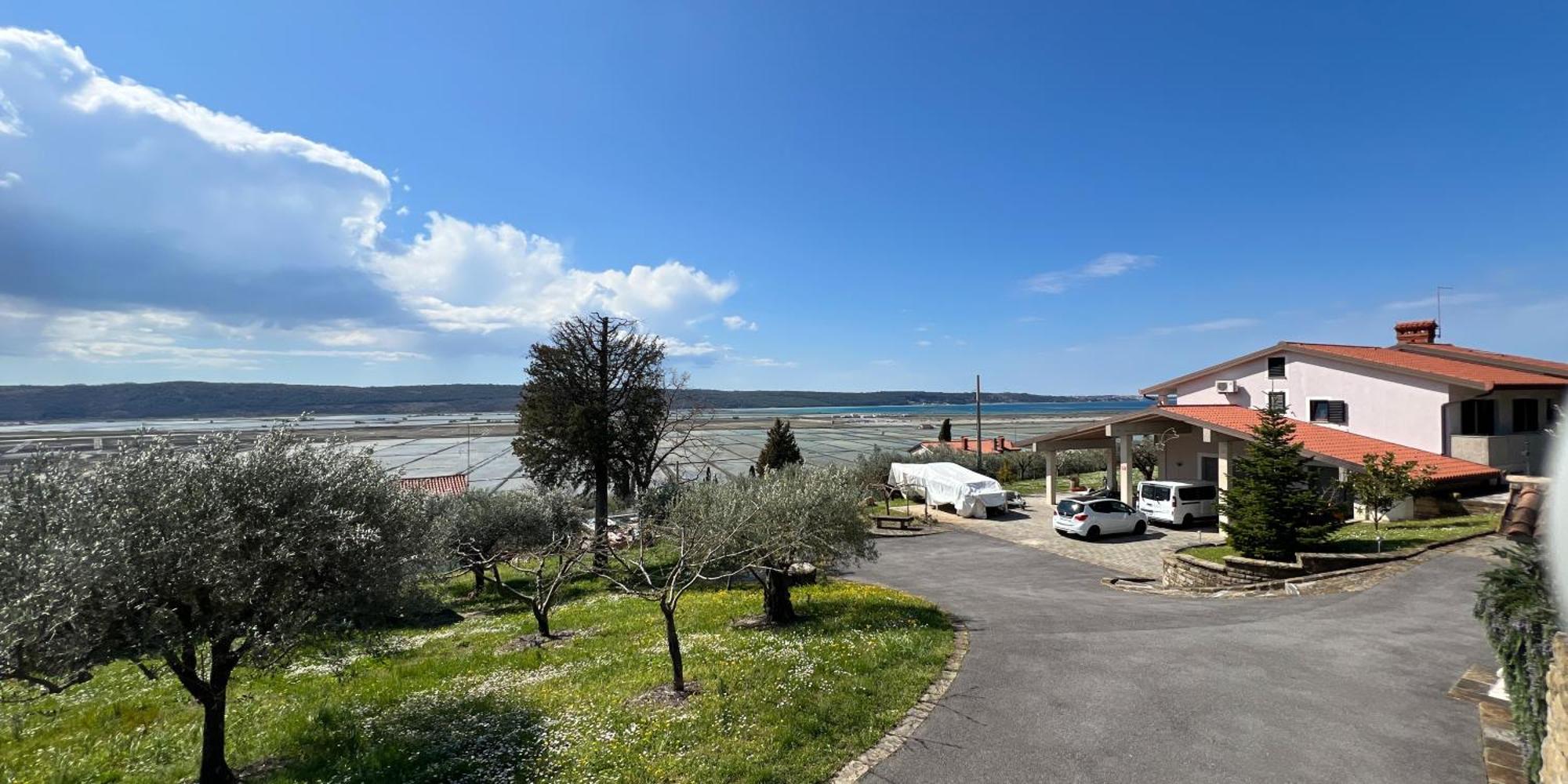 Blue Horizon Apartments Seca Portoroz Bagian luar foto